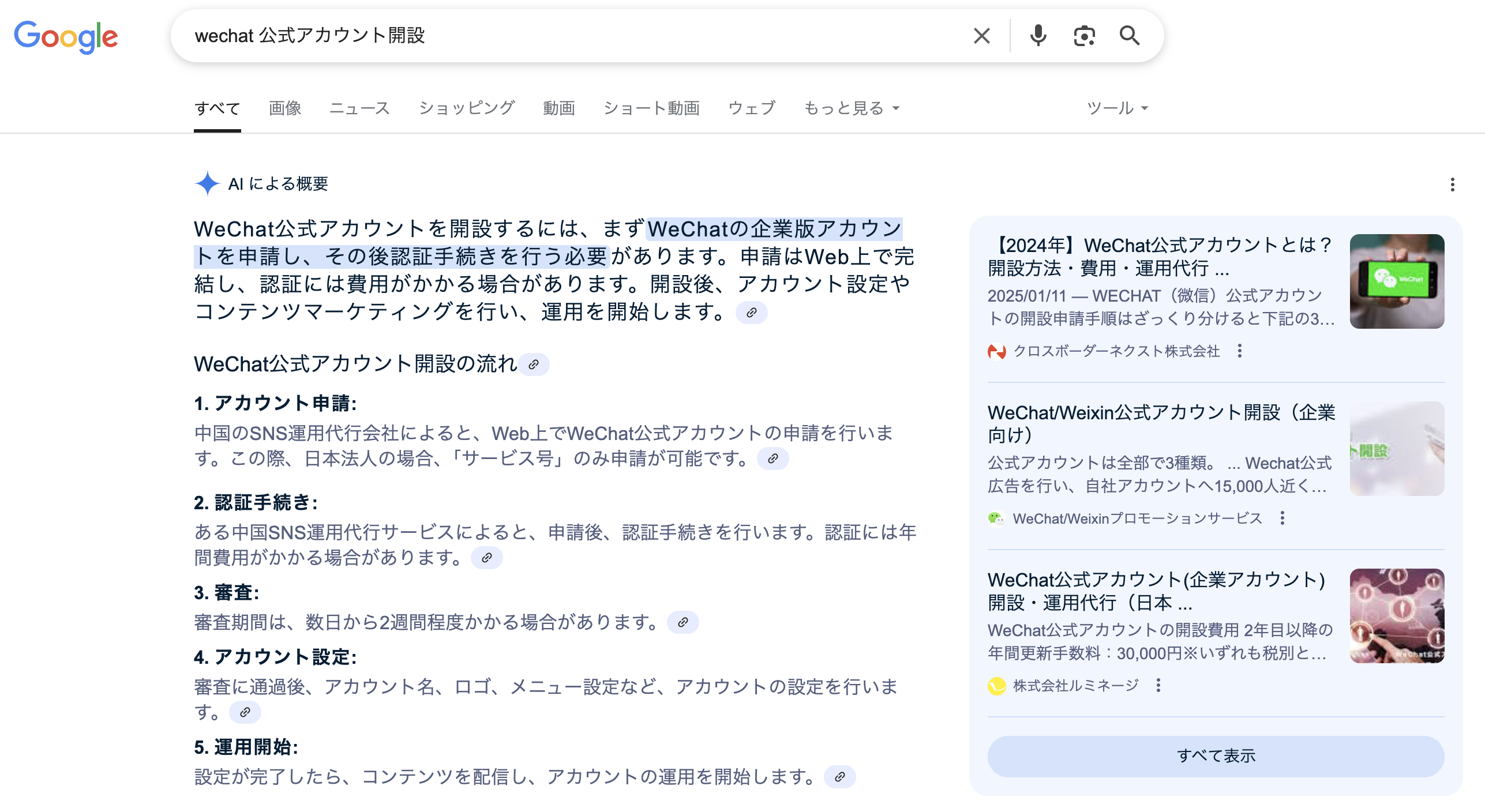 AI overviewの表示例